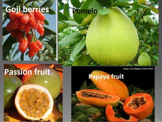 exotic-fruits-and-vegetables