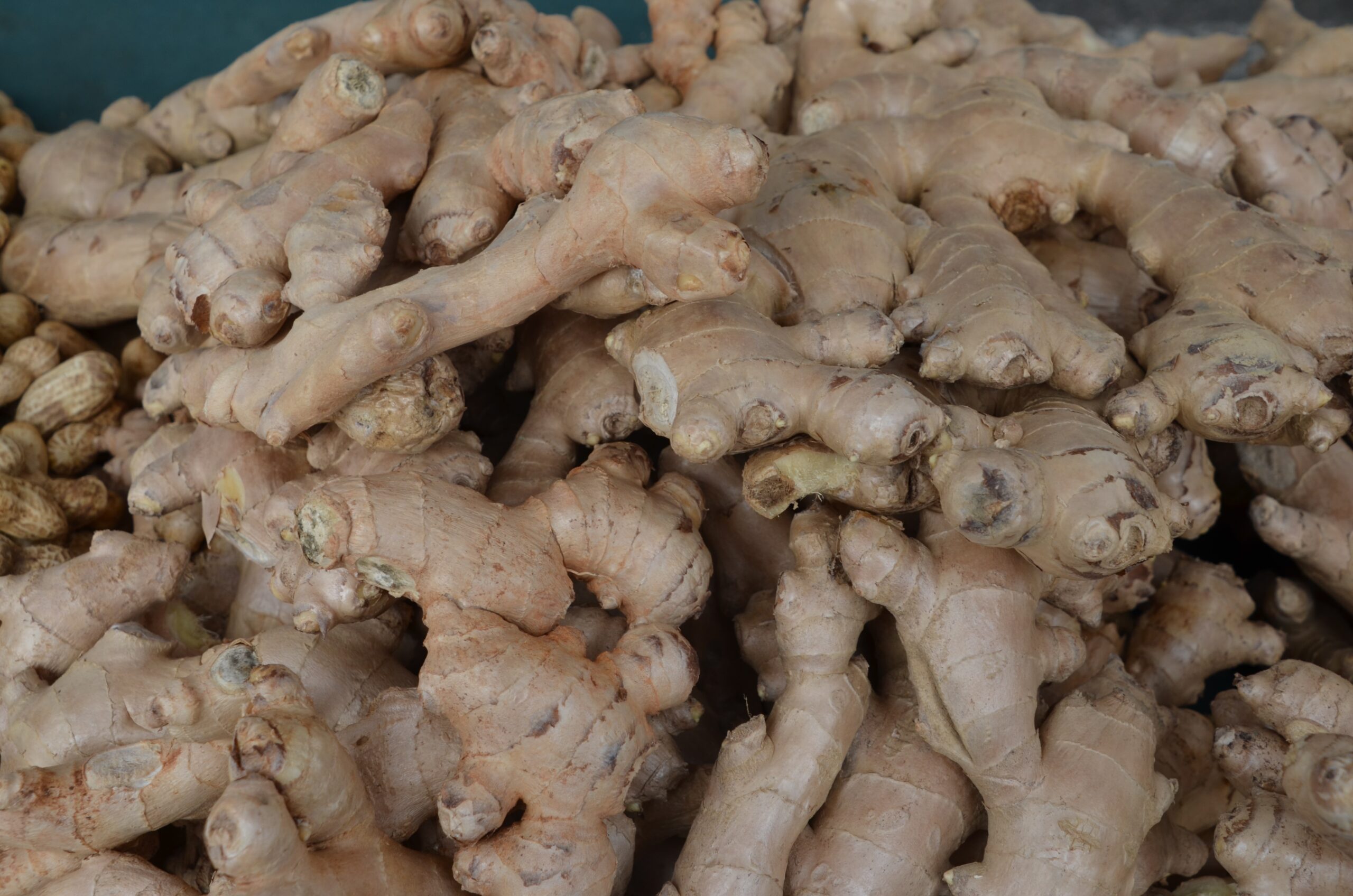 GINGER ROOT per lb