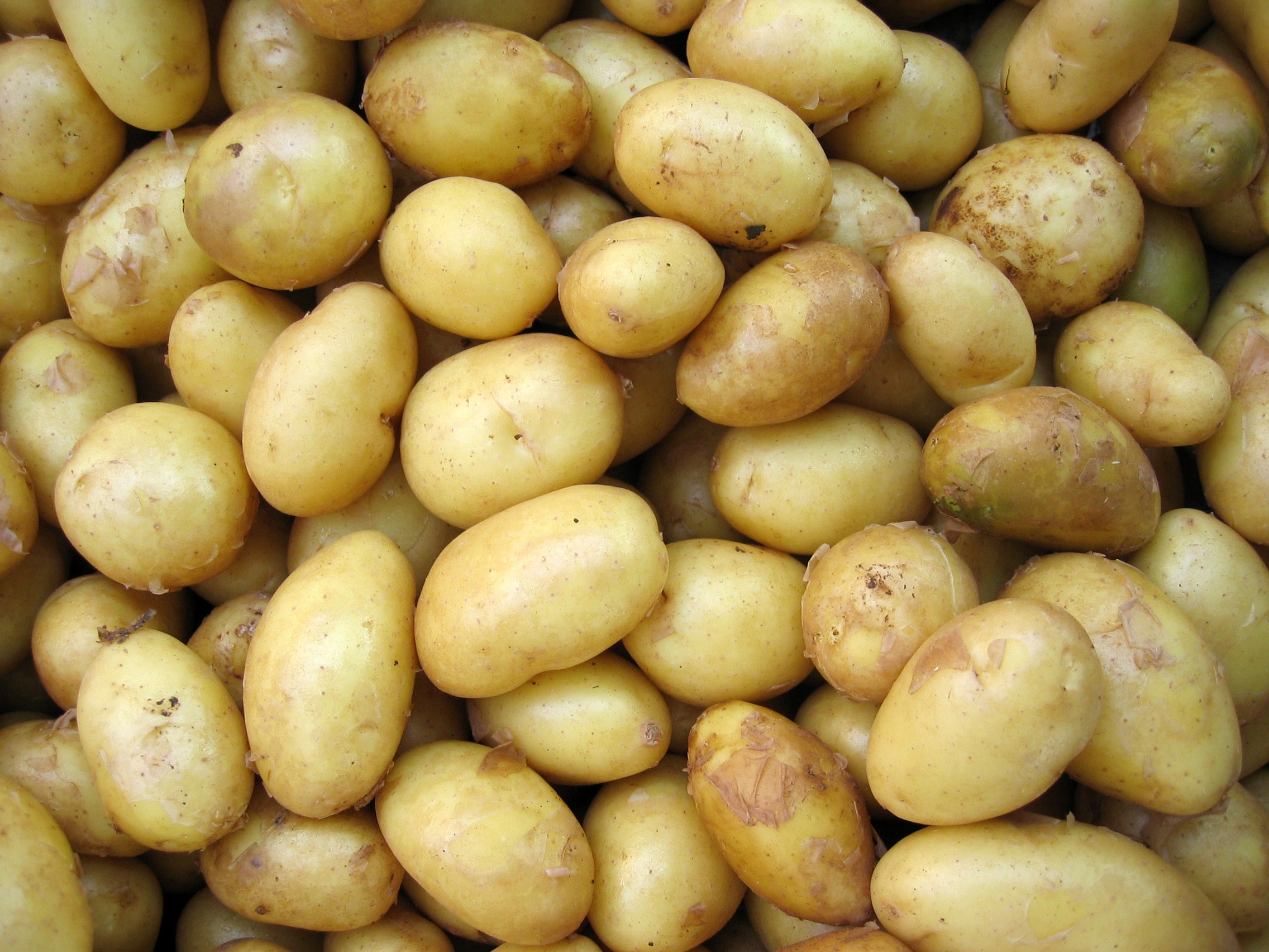 Potatoes-NEW WHITE B SIZE per lb