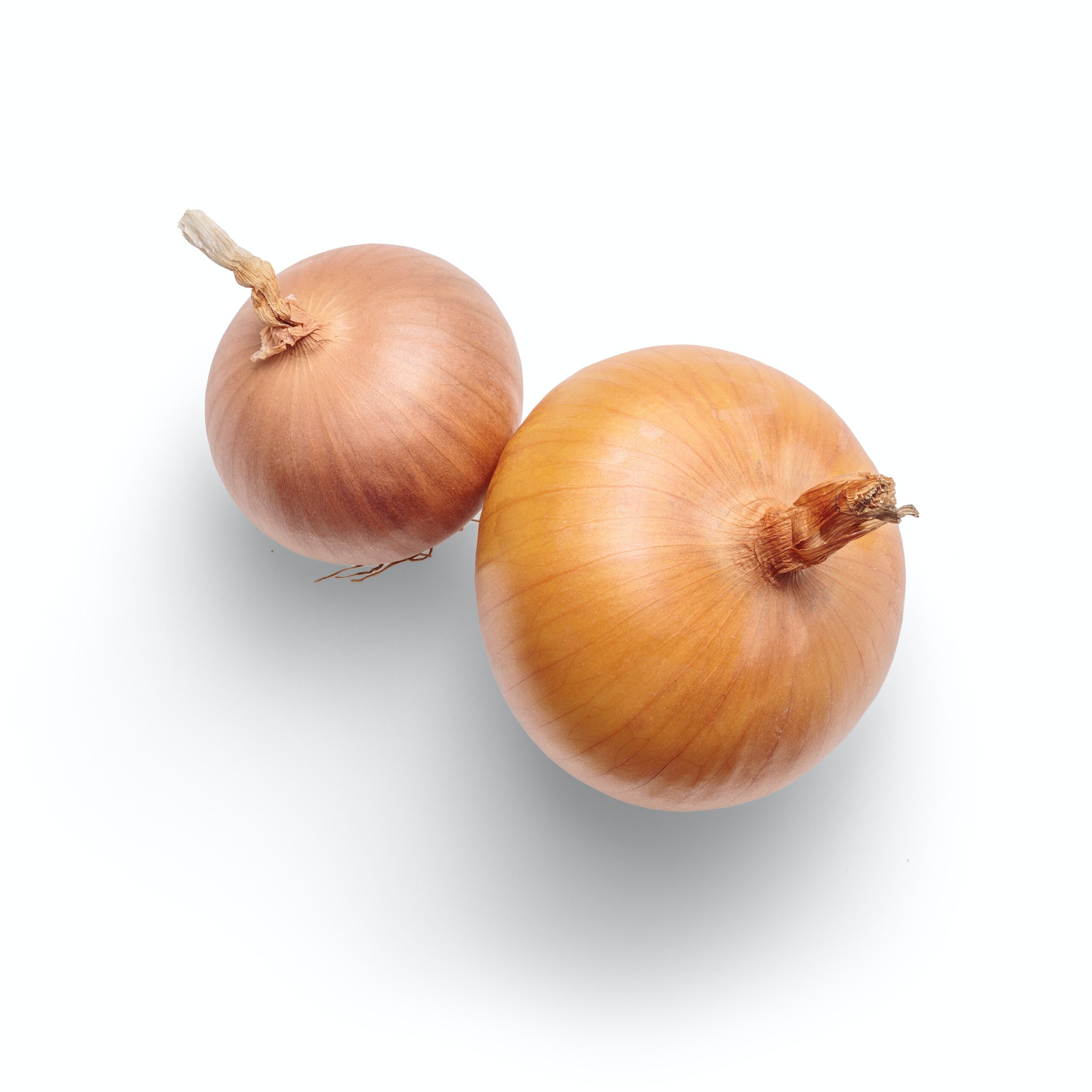 Onions-SPANISH per lb