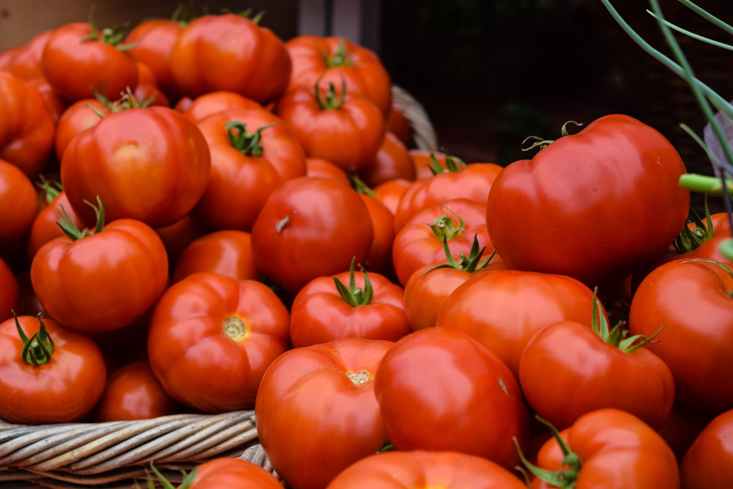 Tomatoes Roma per lb